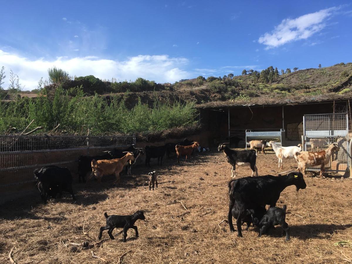Casa Rural Los Santillos El Pinar  외부 사진